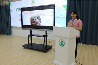 千里鶯啼綠映紅 風華正茂展教學——記廬陽區(qū)2019年暑期園本培訓‘無生上課’展示活動